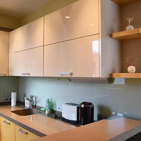 S. Neries Apartment *