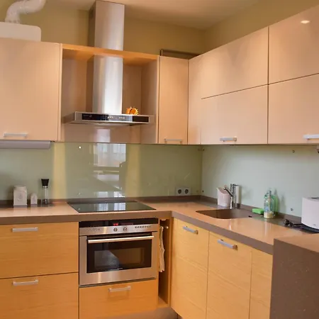 S. Neries Apartment Palanga